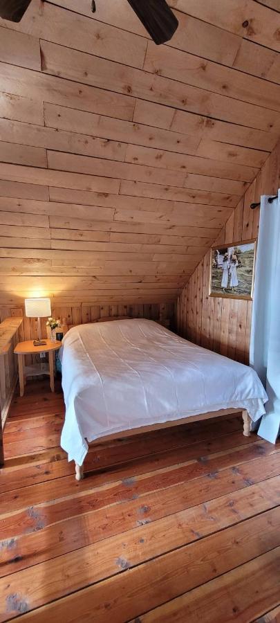 فيلا Ocean Views & Sunset Beach Cabin With Soaker Tub & Fire Pit بويل ريفر المظهر الخارجي الصورة