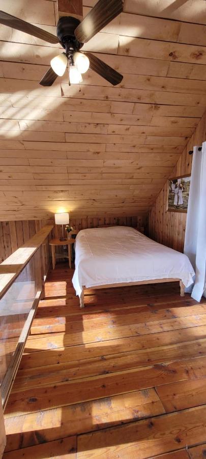 فيلا Ocean Views & Sunset Beach Cabin With Soaker Tub & Fire Pit بويل ريفر المظهر الخارجي الصورة